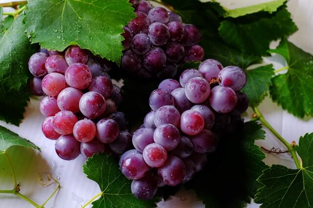 red-grapes