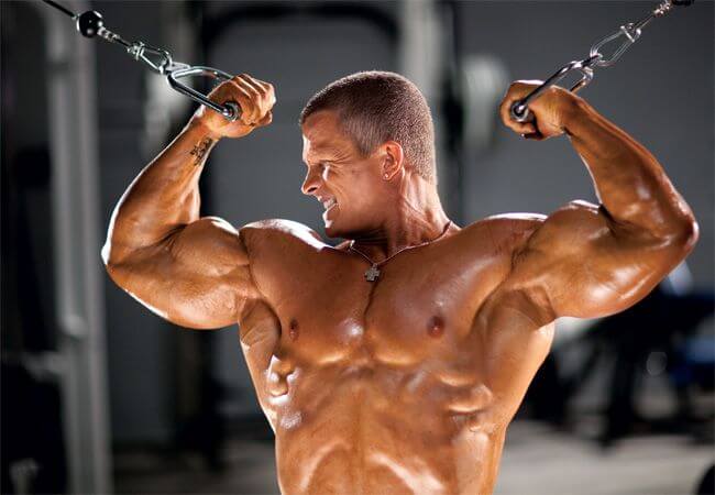 protein-overrated-muscle-growth