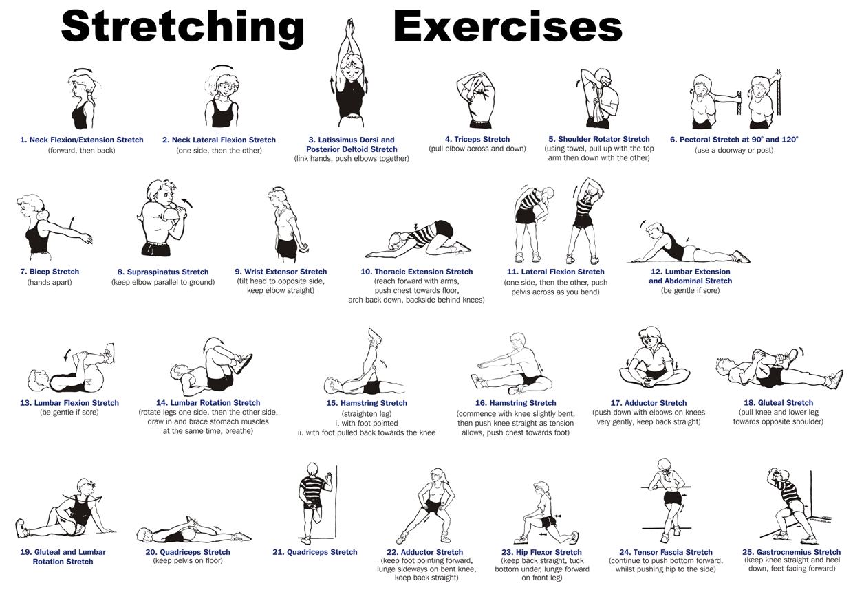 whole-body-stretching-routine