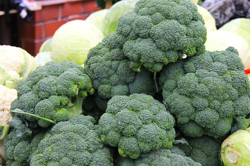 broccoli source of calcium