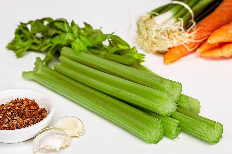 celery food is low in calories