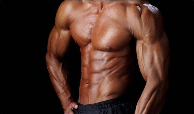 Muscle Building Non Vegetarian Diet - BBstyles.net