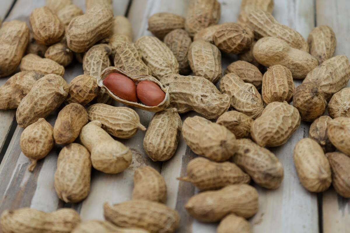 The Peanut is Not Actually a Nut! - Health Benefits of Peanuts