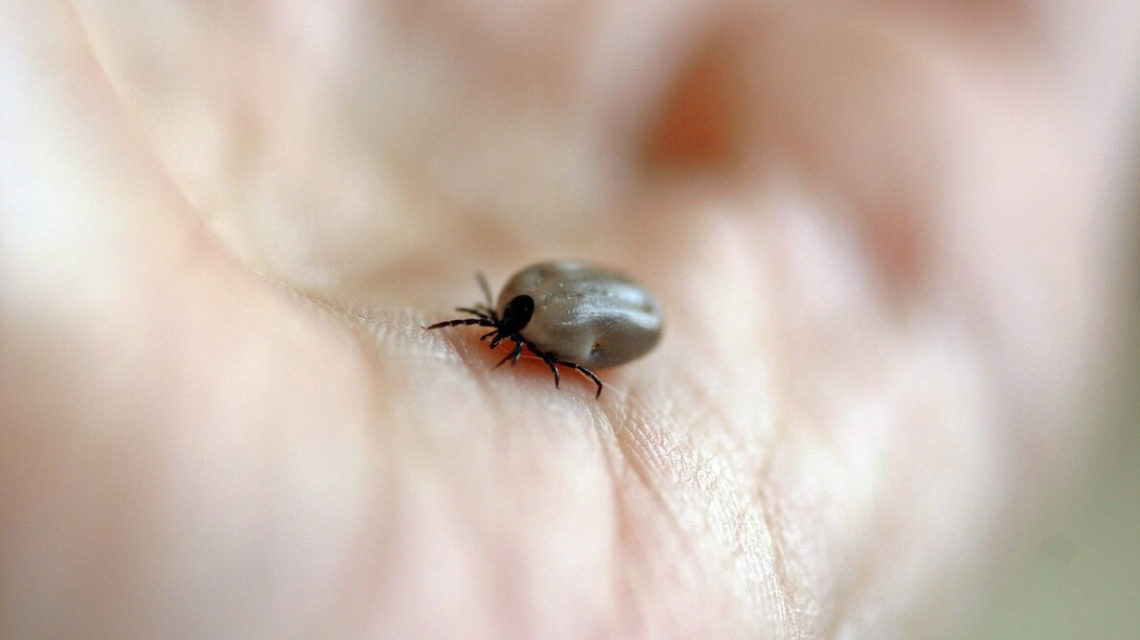 symptoms-of-a-chronic-lyme-disease
