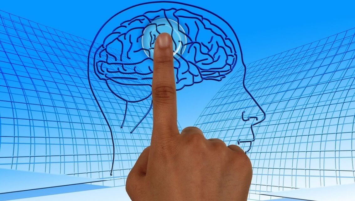 build-brain-muscles