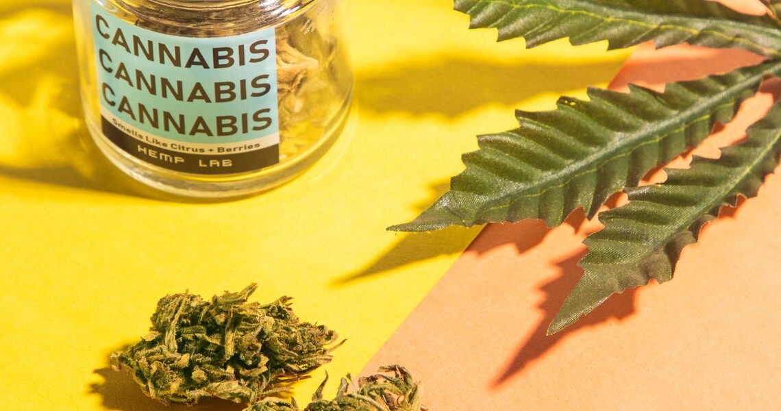 Consumer Rights Being a Cannabis Consumer