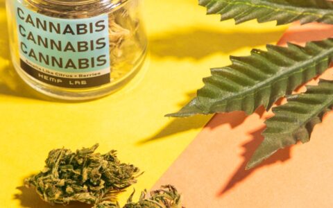 Consumer Rights Being a Cannabis Consumer