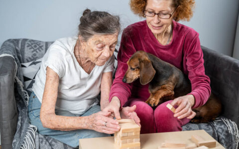 dogs trained for dementia patients