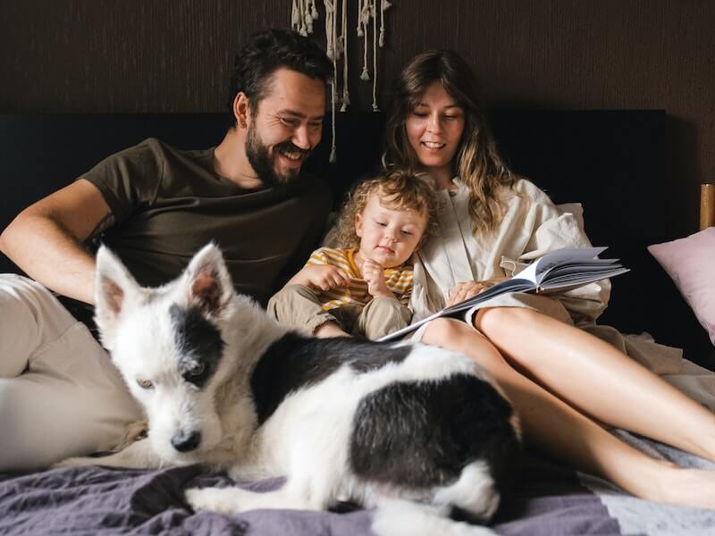 Boys And A Dog Homemaking Homeschooling Tips For Busy Folks