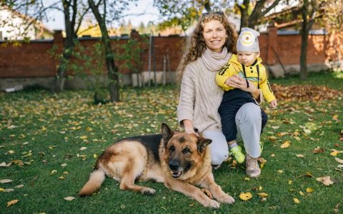 Boys And A Dog Homemaking Homeschooling Tips For Busy Folks