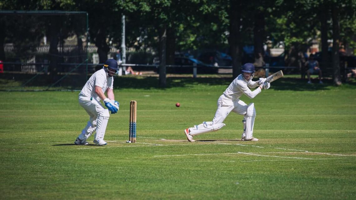 health benefit of cricket