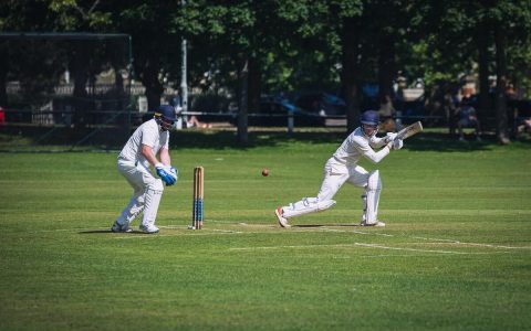 health benefit of cricket