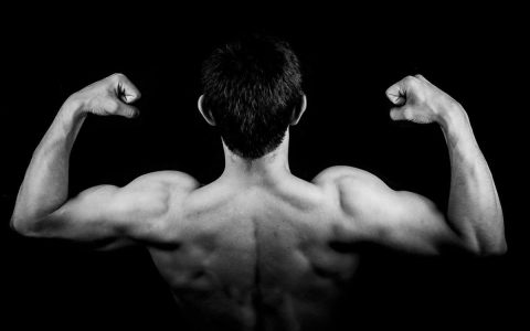building muscle in summer