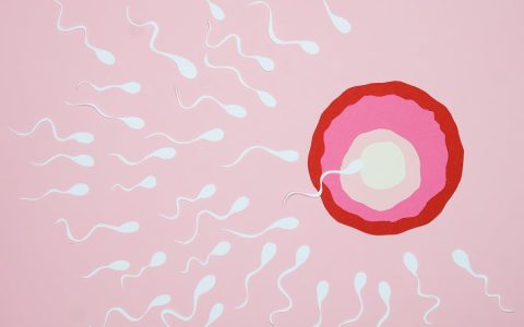 Impact of Endocrine Disrupting Chemicals